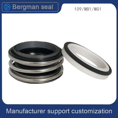 BERGMAN 109/MG1-12mm-110mm G60 G4 G6 G9 G13 G16 BS Bo BP Pump Mechanical Seal