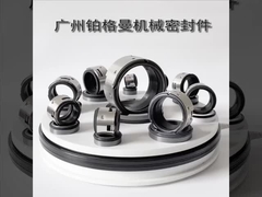 จอห์นเครน 502 ปั๊มน้ํา ตรากล 100 มม สําหรับปั๊มอุตสาหกรรม