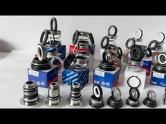 EA560D ปั๊ม Burgmann ปริมณฑลเครื่องกล WQ อุปกรณ์ดําน้ํา